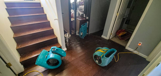 Best Flooded house restoration  in Pitcairn, PA