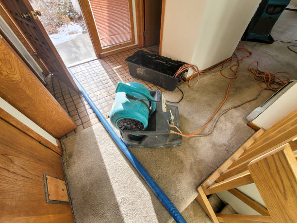Carpet water damage restoration in Pitcairn, PA