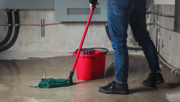Best Water damage restoration near me  in Pitcairn, PA