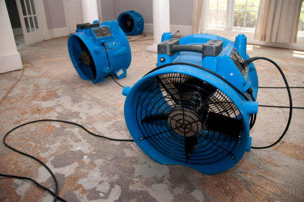 Best Residential water damage restoration  in Pitcairn, PA