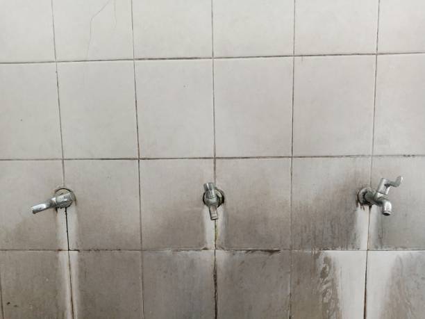 Professional Water damage restoration in Pitcairn, PA