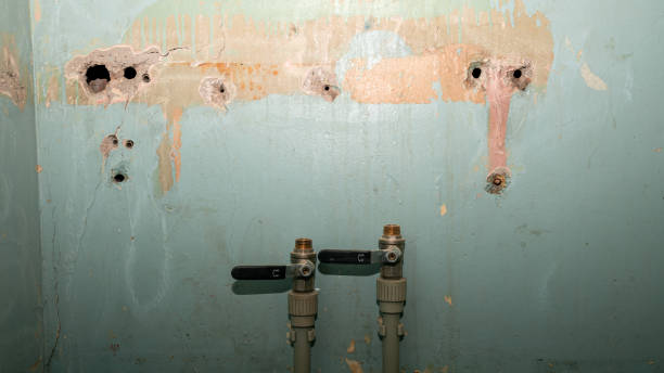 Best Basement water damage restoration  in Pitcairn, PA