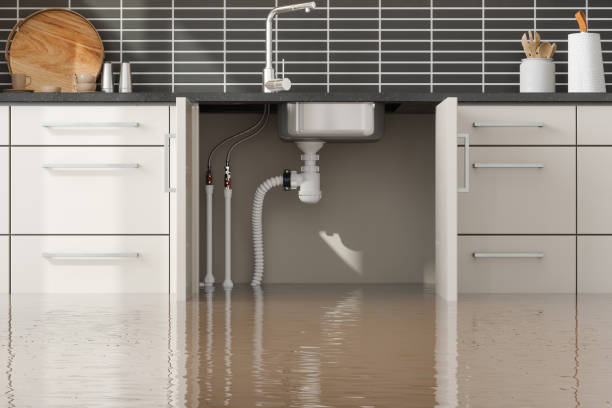 Best 24-hour water damage restoration  in Pitcairn, PA
