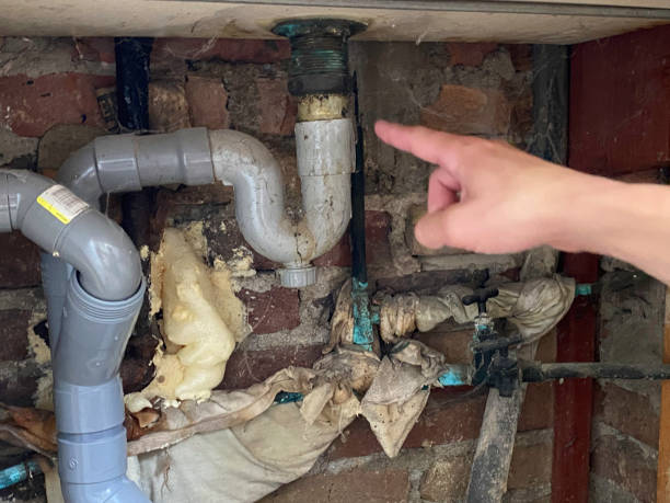 Best Mold removal after water damage  in Pitcairn, PA