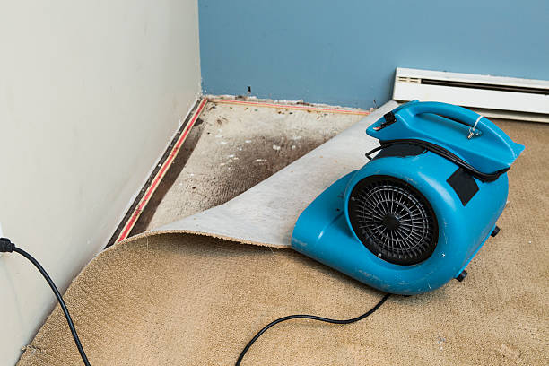 Best Basement water damage restoration  in Pitcairn, PA